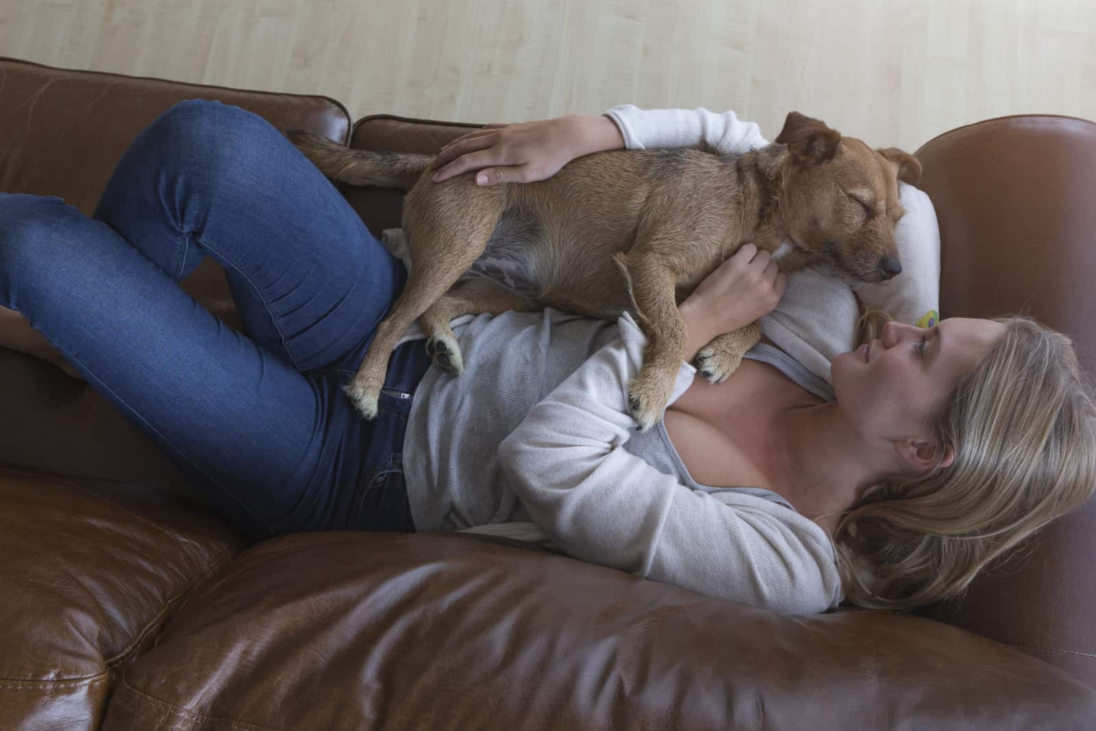 You CAN Have Pets and Leather Furniture!